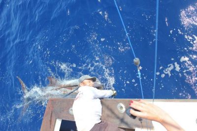 Blue marlin fishing in Portugal from Olhao